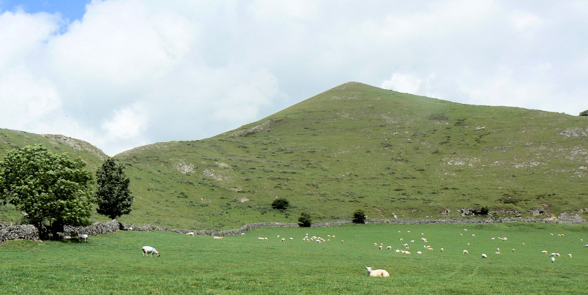 Bunster Hill Bunster Hill